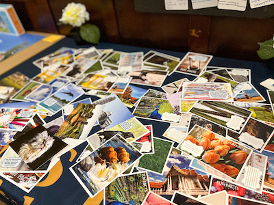 A variety of photos laid out on a table